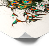 ピーコックイラストレーションヴィンテージアートプリント ポスター (角)