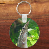 ピーコックウナギ「エルビス」 キーホルダー (正面)