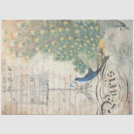 ピーコックエフェメラデクページ紙右 薄葉紙