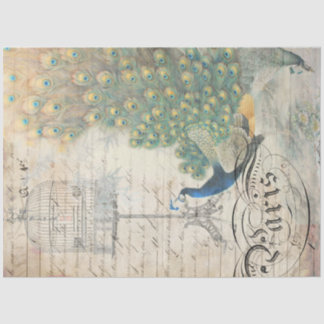 ピーコックエフェメラデクページ紙右 薄葉紙