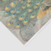 ピーコックエフェメラデクページ紙水平 薄葉紙 (詳細)