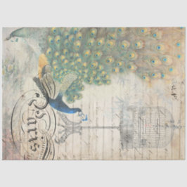 ピーコックエフェメラデクページ離れ紙 薄葉紙