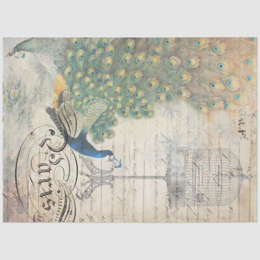 ピーコックエフェメラデクページ離れ紙 薄葉紙 (正面)