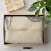 ピーコックエフェメラデクページ 薄葉紙 (ギフト)