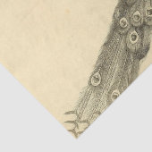 ピーコックエフェメラデクページ 薄葉紙 (詳細)