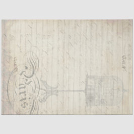 ピーコックエフェメラデコップコンパニオン紙 薄葉紙