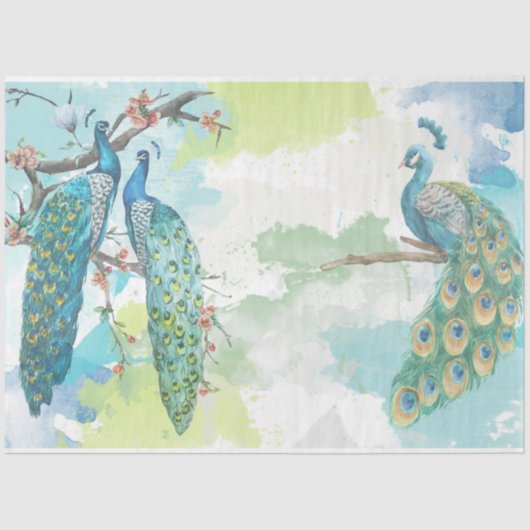 ピーコックエフェメラ2 薄葉紙 (正面)