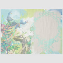 ピーコックエフェメラ3