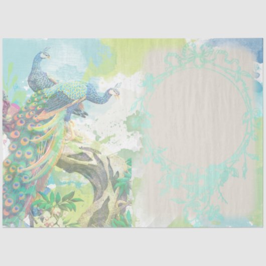 ピーコックエフェメラ3 薄葉紙 (正面)