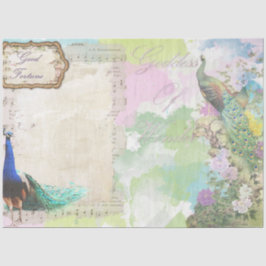 ピーコックエフェメラ5 薄葉紙