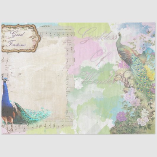 ピーコックエフェメラ5 薄葉紙 (正面)