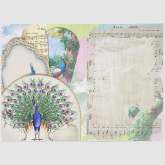 ピーコックエフェメラ6 薄葉紙 (正面)