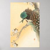 ピーコックオンさくらんぼ花の木by大原小村 ポスター (正面)