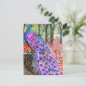 ピーコックガーデン ポストカード (スタンド正面)