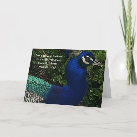 ピーコッククローズアップ誕生日 カード (正面)