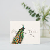 ピーコックサンキューユーヴィンテージアートイラストレーション ポストカード (スタンド正面)