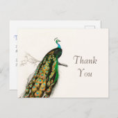 ピーコックサンキューユーヴィンテージアートイラストレーション ポストカード (正面/裏面)
