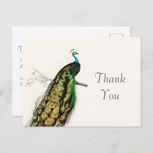 ピーコックサンキューユーヴィンテージアートイラストレーション ポストカード (正面/裏面)