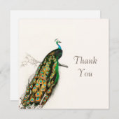 ピーコックサンキューヴィンテージアートイラストレーションカード サンキューカード (正面/裏面)