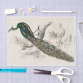 ピーコックサーウィリアムヴィンテージアンティーク 薄葉紙 (クラフト)