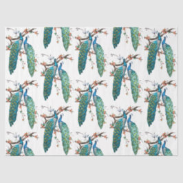 ピーコックシリーズデザイン6 薄葉紙