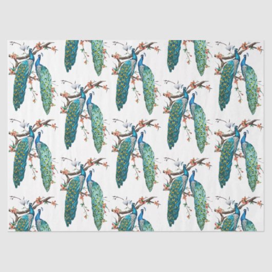 ピーコックシリーズデザイン6 薄葉紙 (正面)