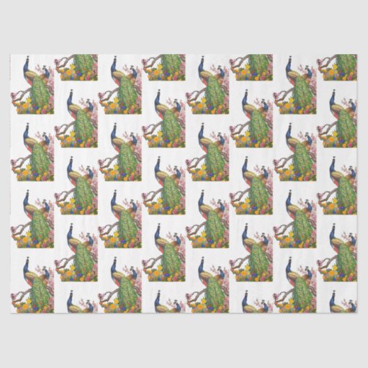 ピーコックシリーズデザイン7 薄葉紙 (正面)