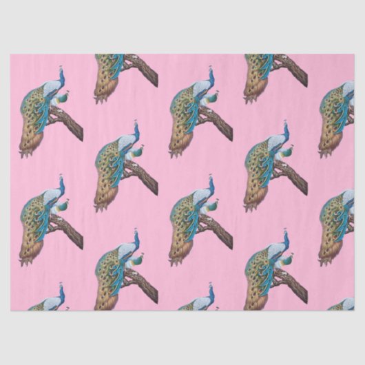 ピーコックシリーズデザイン9ピンクティッシュペーパー 薄葉紙 (正面)