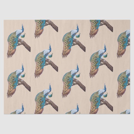 ピーコックシリーズデザイン9ブラウンティッシュペーパー 薄葉紙 (正面)