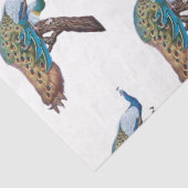 ピーコックシリーズデザイン9 薄葉紙 (詳細)