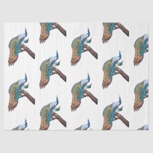 ピーコックシリーズデザイン9 薄葉紙 (正面)