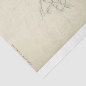 ピーコックスクフランスのリプトEphemera Decompage 薄葉紙 (詳細)