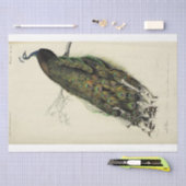 ピーコックスクフランスのリプトEphemera Decompage 薄葉紙 (クラフト)