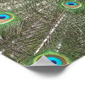 ピーコックストラットプリント ポスター (角)