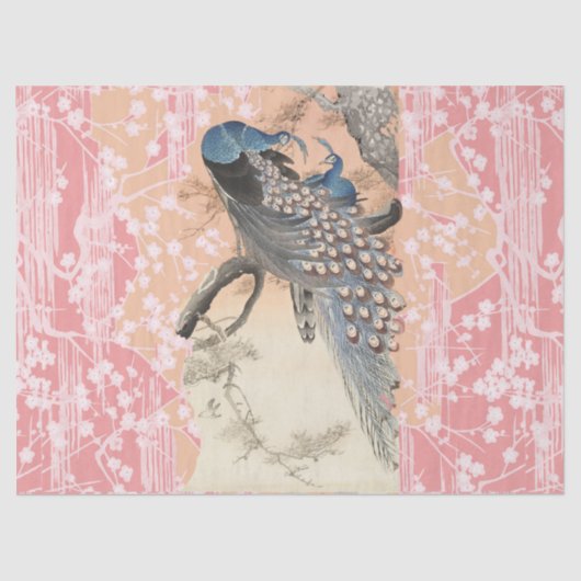 ピーコックス、ピンクの白い桜の花日本のフローラ 薄葉紙 (正面)