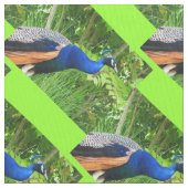 ピーコックス ファブリック (クローズアップ)