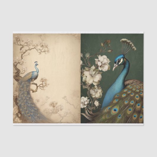 ピーコックティッシュページ 薄葉紙 (正面)