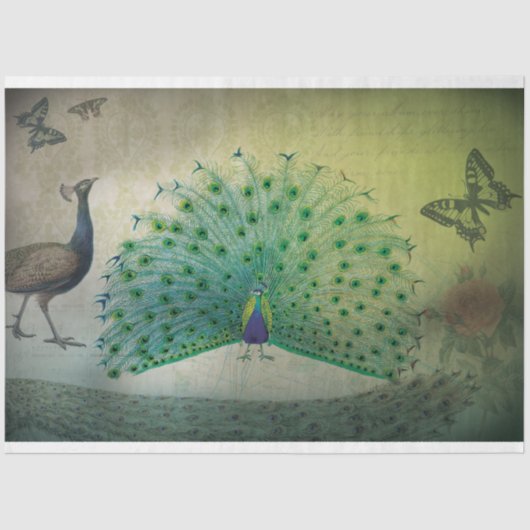 ピーコックデクページ紙 薄葉紙 (正面)