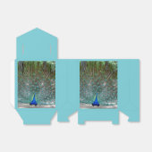 ピーコックデザインパーティーウィズボックス フェイバーボックス (折り畳みなし)