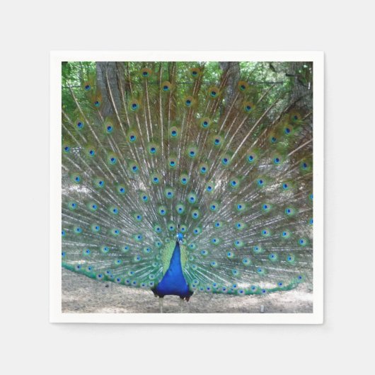 ピーコックデザインパーティーナプキンス スタンダードカクテルナプキン (正面)