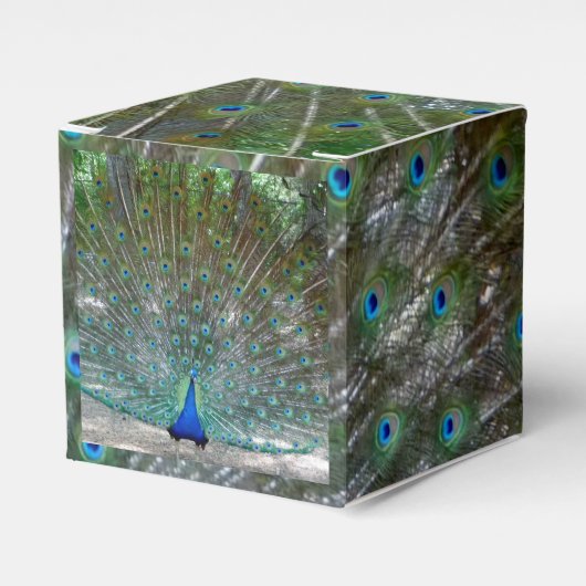 ピーコックデザインパーティー フェイバーボックス (正面サイド)