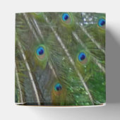 ピーコックデザインパーティー フェイバーボックス (上部)