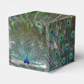 ピーコックデザインパーティー フェイバーボックス (裏面サイド)