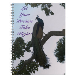 ピーコックドリームズノート ノートブック