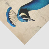 ピーコックバエレガントードケージフローラエフェメラデクページ 薄葉紙 (詳細)