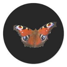 ピーコックバタフライバイKABFA