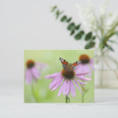 ピーコックバタフライ(Inachis io)飲み蜜 ポストカード (スタンド正面)