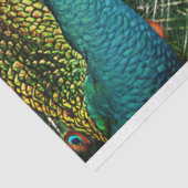 ピーコックバーズウォールアートデクページティッシュペーパー 薄葉紙 (詳細)