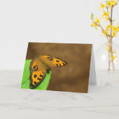 ピーコックパンシーバタフライ カード (黄色い花)