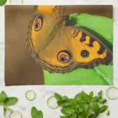 ピーコックパンシー キッチンタオル (折り畳み)